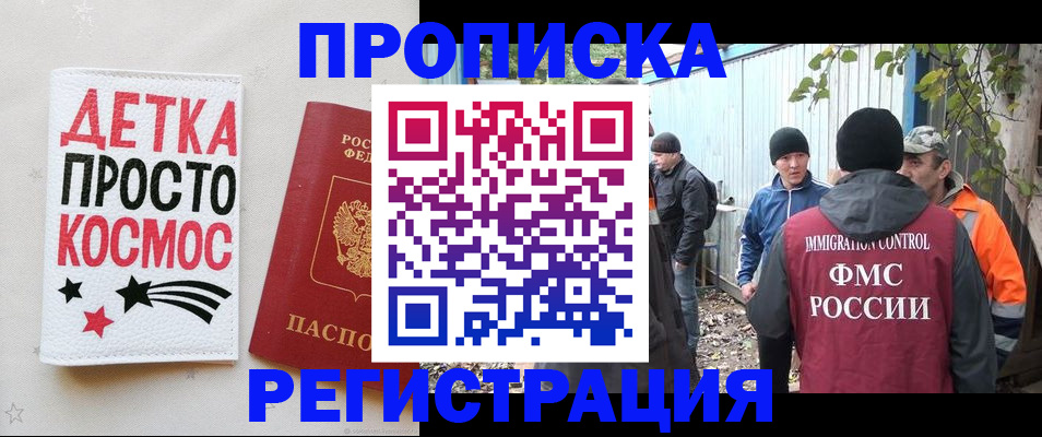 прописка поиск в Шали